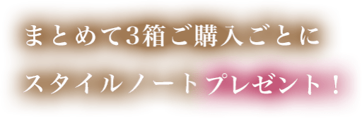 まとめて3箱ご購入ごとにスタイルノートプレゼント